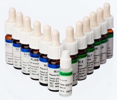 Salmonella SG 2 3 ml