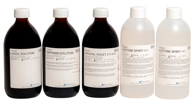 Gram -värjäyskitti 5x500 ml