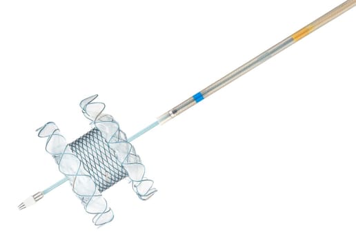 Taewoong HOT SPAXUS 10mm/2cm