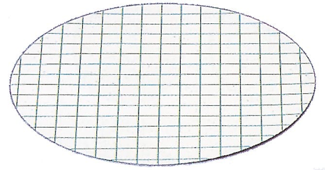 Kalvosuodatin CN 0,45 µm valkoinen/ musta Ø 47 mm