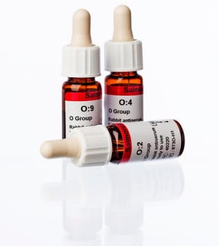 Salmonella O multi OMA 3 ml