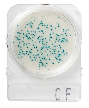 Compact Dry Listeria spp., LS