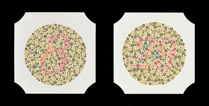 Ishihara fargesans