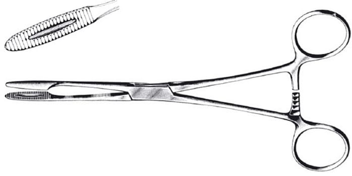 Korntang avdeling buet 20cm