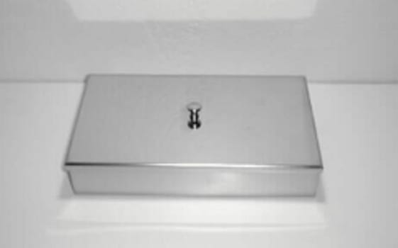 Instrumentlåda 20x10x5cm rostfri med lock