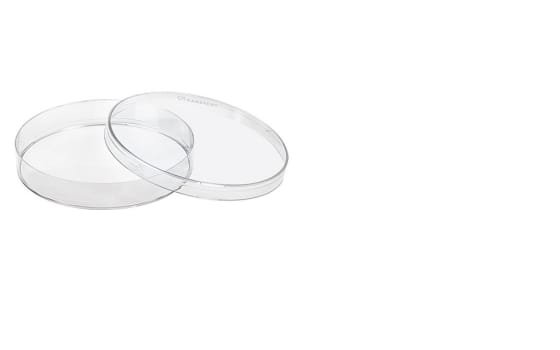 Petriskål med Vent. Transparent, 92x16mm