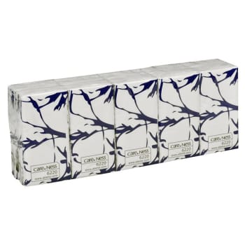 Pappersnäsduk 10-Pack