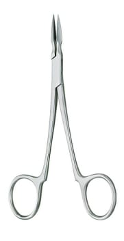 Arthur Splinter Fcps Str 14cm