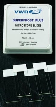 Objektglas 76x26mm mattfält 20mm slipade kanter vit