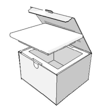 Kylbox med kartong 3L un3373