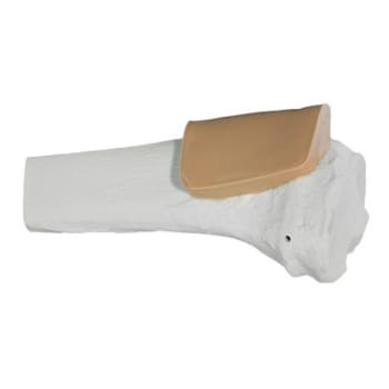 Övningsben proximal Tibia vuxen med hudbit