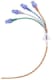ALTIUS 4 Lumen CVK Set 8.5Fr 20cm
