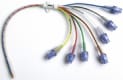 ALTIUS7 Lumen CVK Set 8.5Fr 20cm