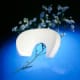 Retractorpad Small 225x125x20mm