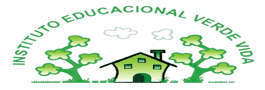  Instituto Educacional Verde Vida Serra 