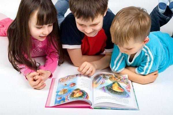  Centro De Educação Infantil E Fundamental Doce Mel 