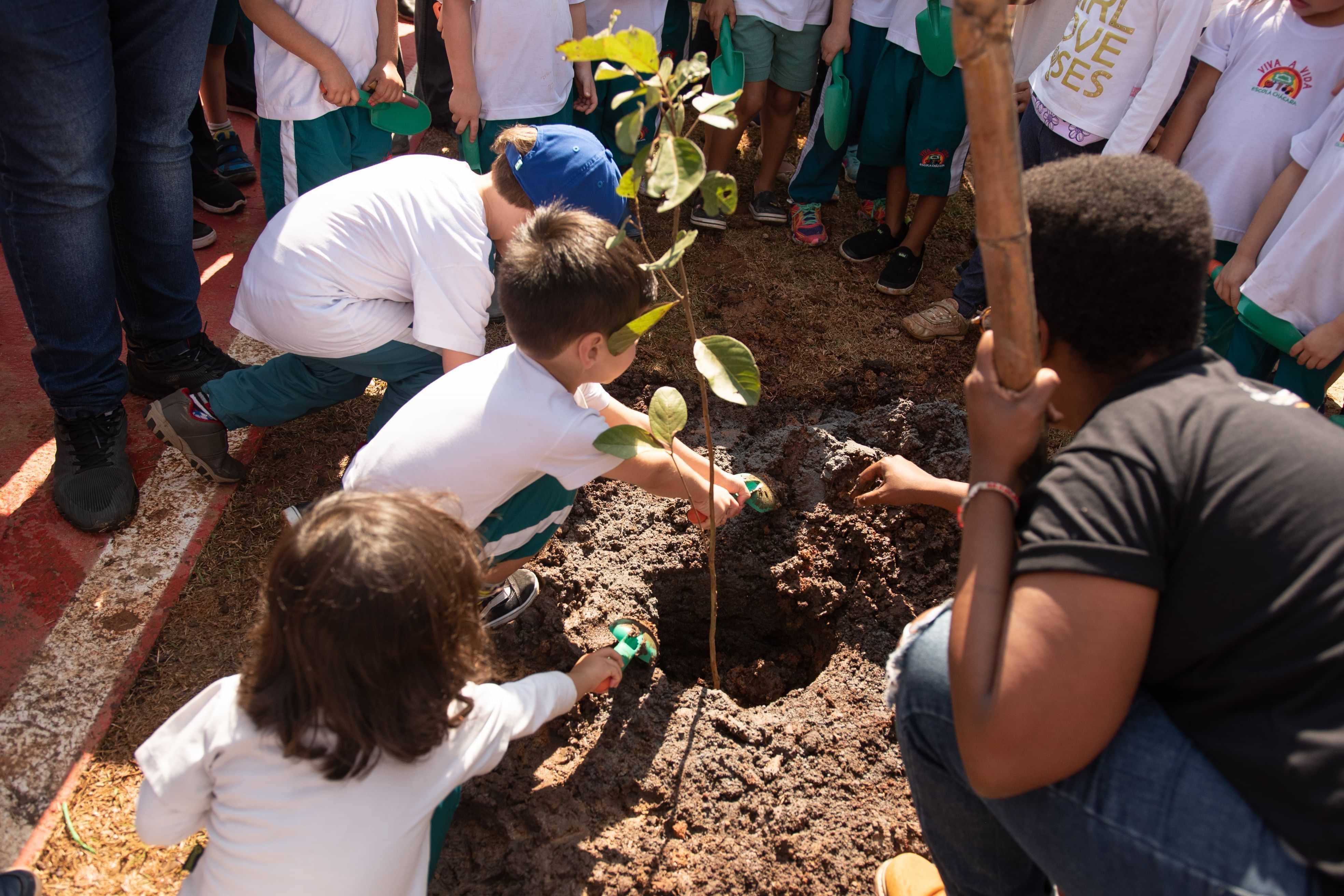  Sorocaba Ganha Árvores e Cidadãos Conscientes em Ação de Escola Infantil 
