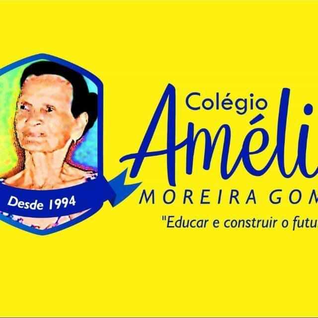  Colégio Amélia Moreira Gomes 
