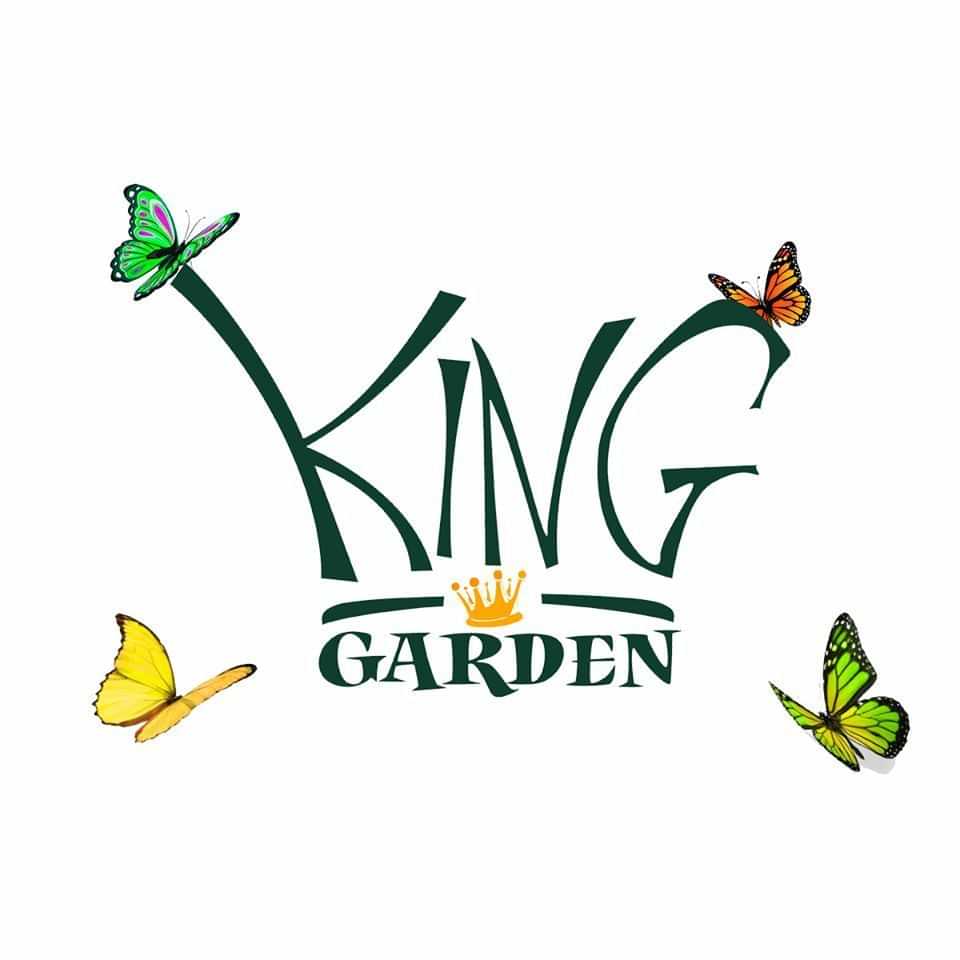  King Garden Escola De Educação Infantil 