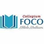  Collegium Foco 