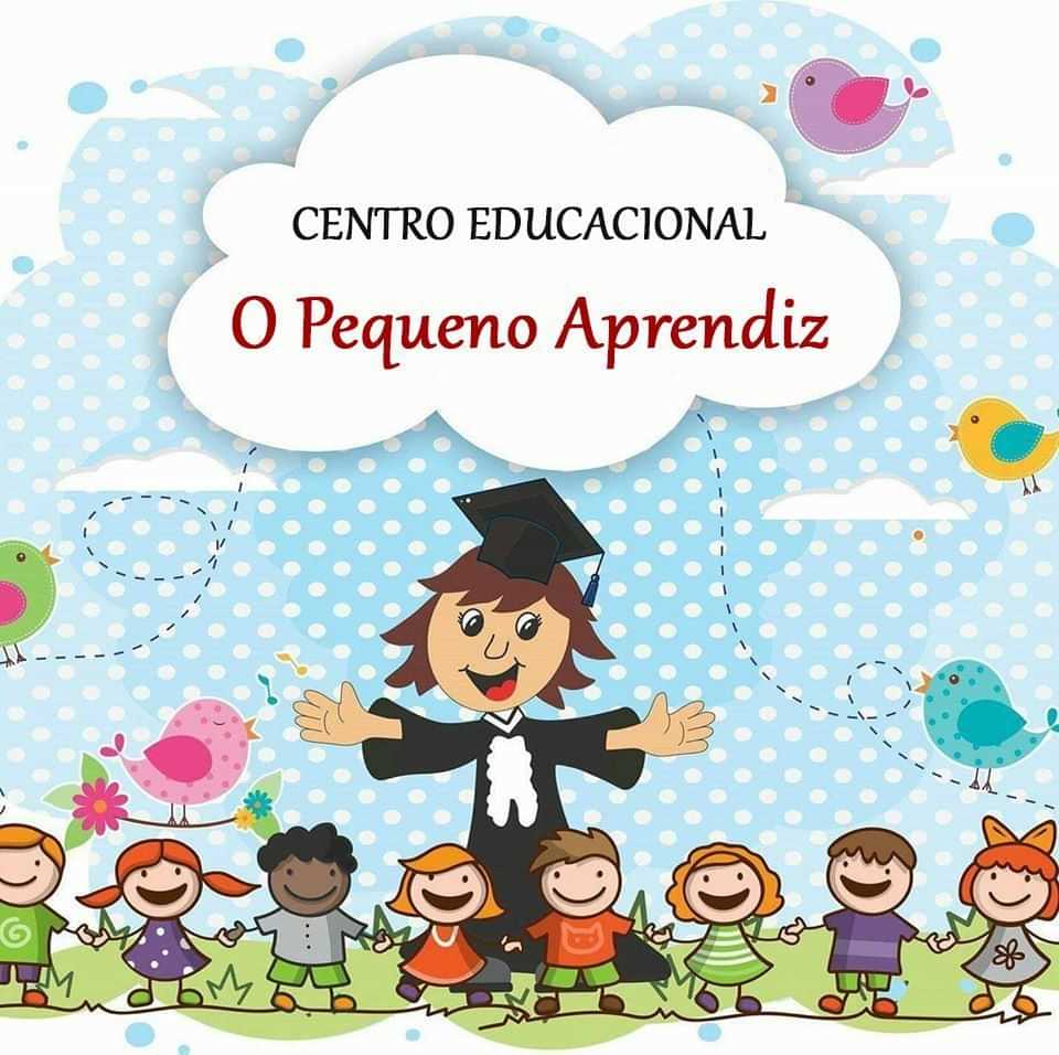  Centro Educacional O Pequeno Aprendiz 