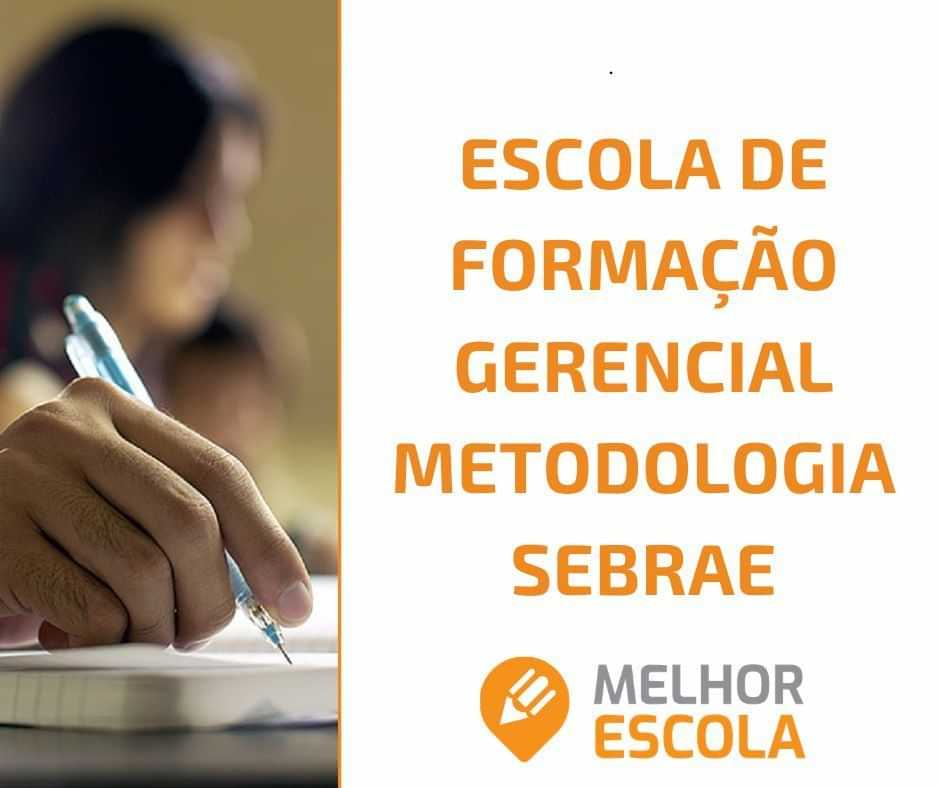  Escola De Formação Gerencial Metodologia Sebrae 