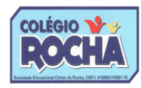  Sociedade Educacional Cortês Da Rocha 