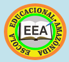  Escola Educacional Amazônida 