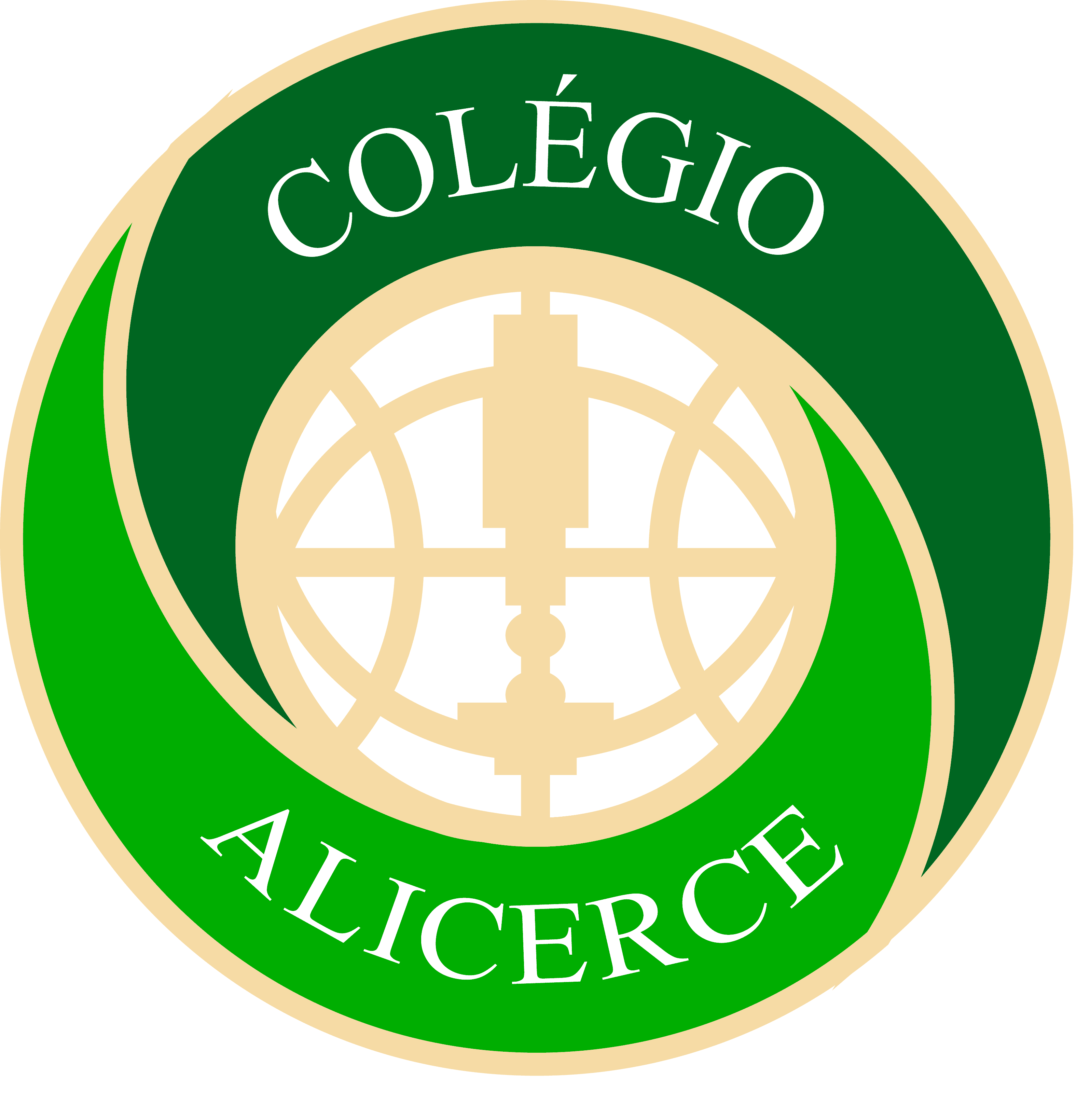  Colégio Alicerce 
