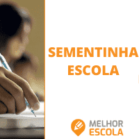  Sementinha Escola 