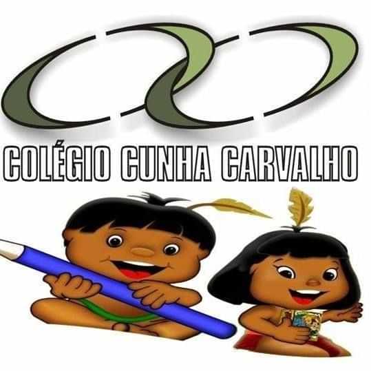  Colégio Cunha Carvalho 