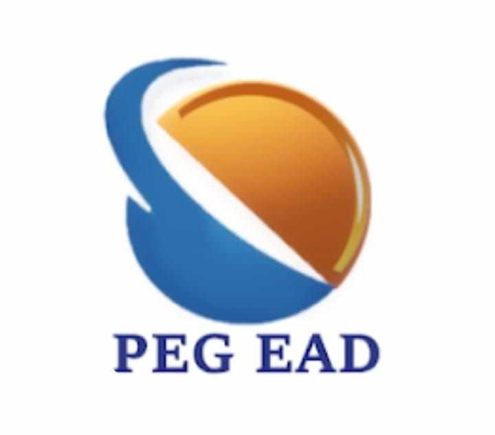 Polo Peg Ead 