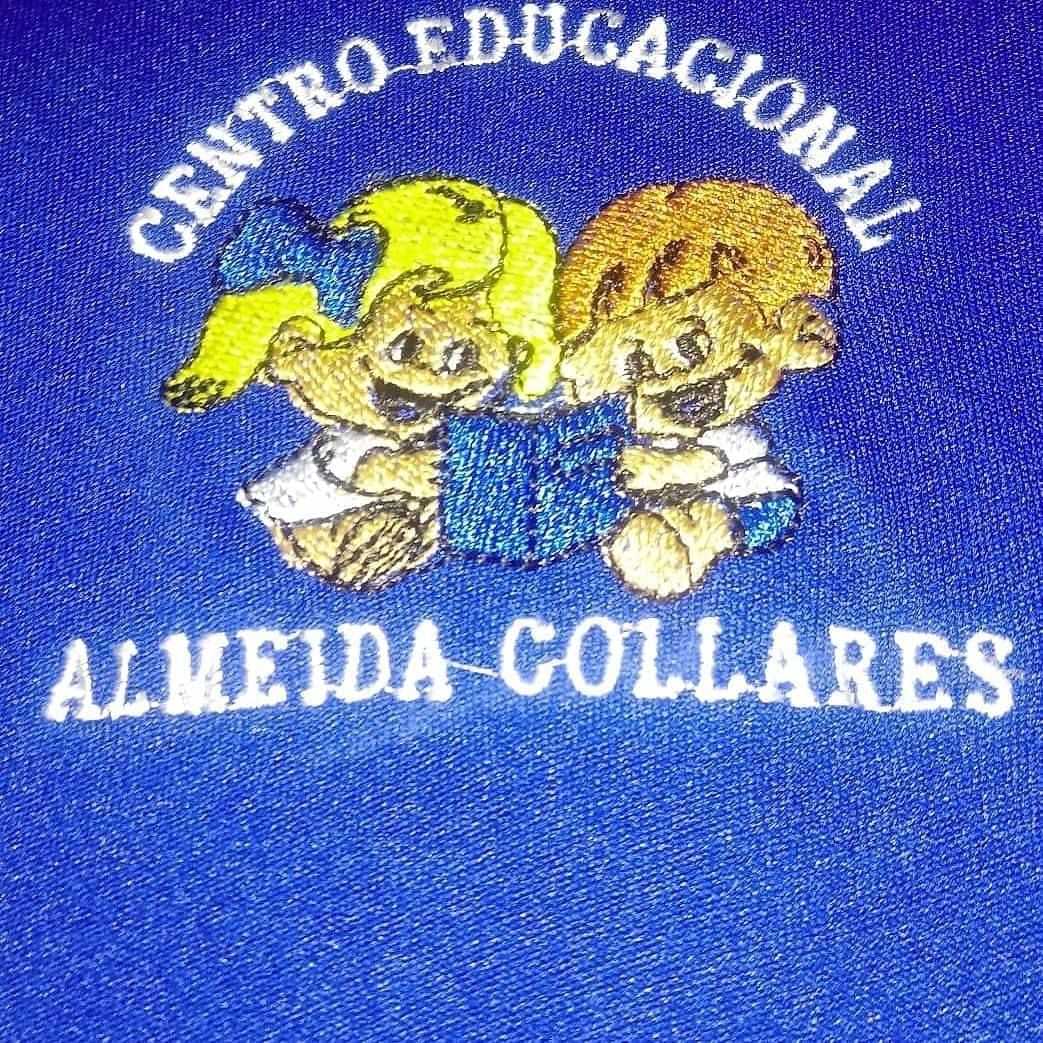  Centro Educacional Almeida Collares 