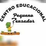  Centro Educacional Pequeno Pensador 