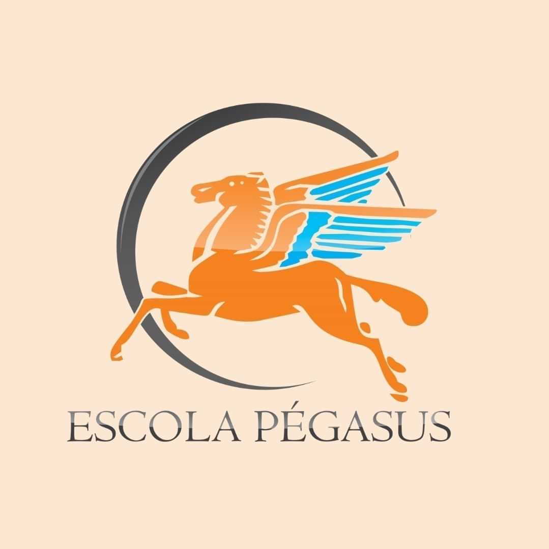  Escola Pégasus Berçário E Ed. Infantil 