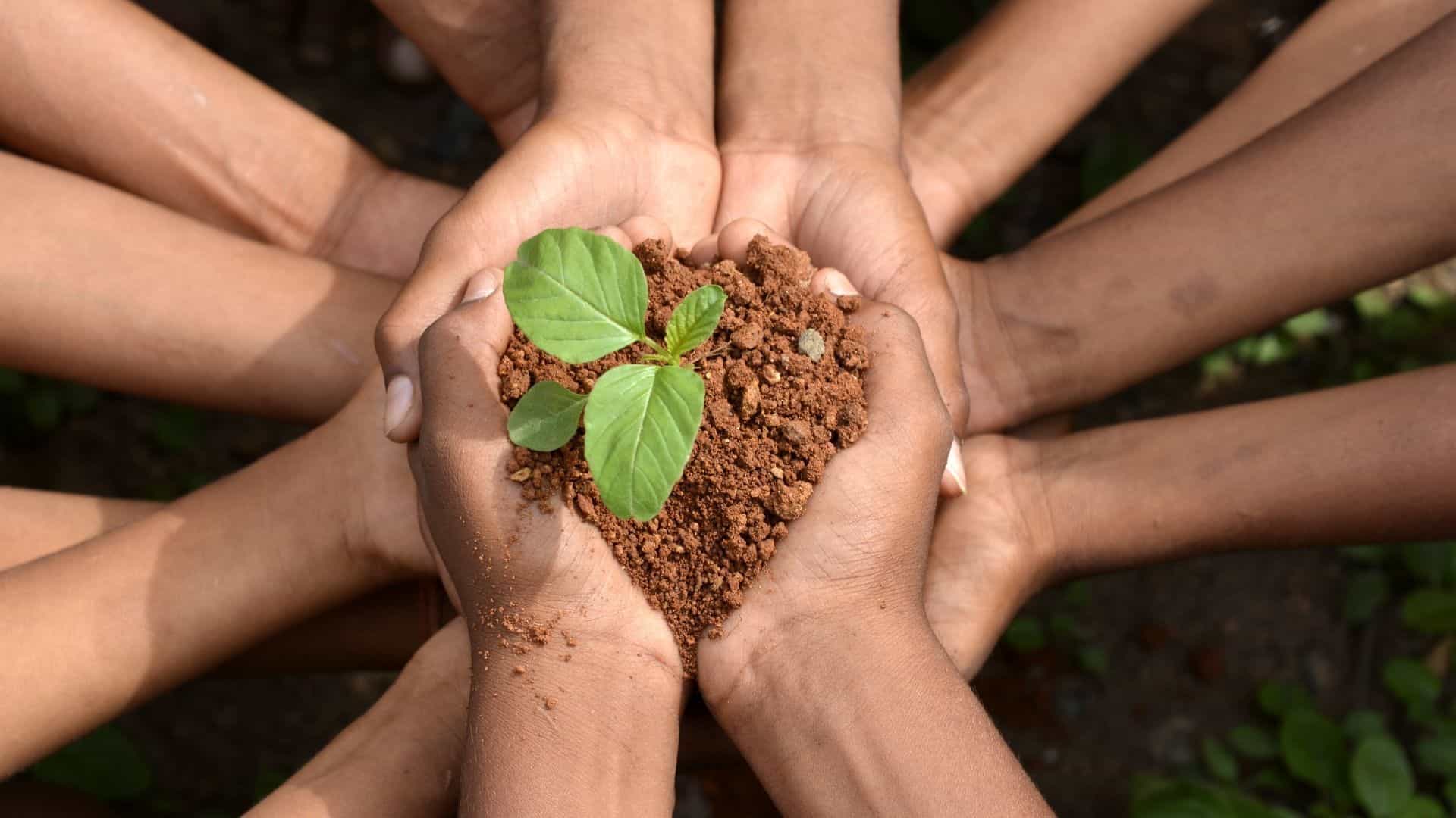  Meio ambiente na educação infantil: qual é a importância?​ 