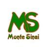 Logo Escola Monte Sinai
