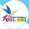 Logo Núcleo Pedagógico Colibri