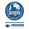 Logo Anglo De Ubatuba