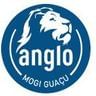 Logo ANGLO MOGI
