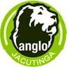 Logo Colégio Anglo Jacutinga