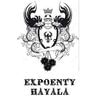 Logo Oficina de Ensino Expoenty Hayala