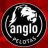 Logo Anglo Pelotas