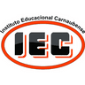 Logo Instituto Educacional Carnaubense - IEC