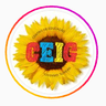 Logo Ceig - Centro Educacional Girassol - Rio Verde