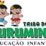 Logo Escola De Educação Infantil Tribo Dos Curumins