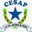 Logo Colégio Cesap
