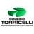 Logo - Colégio Torricelli