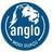 Logo Anglo Mogi