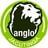 Logo - Colégio Anglo Jacutinga